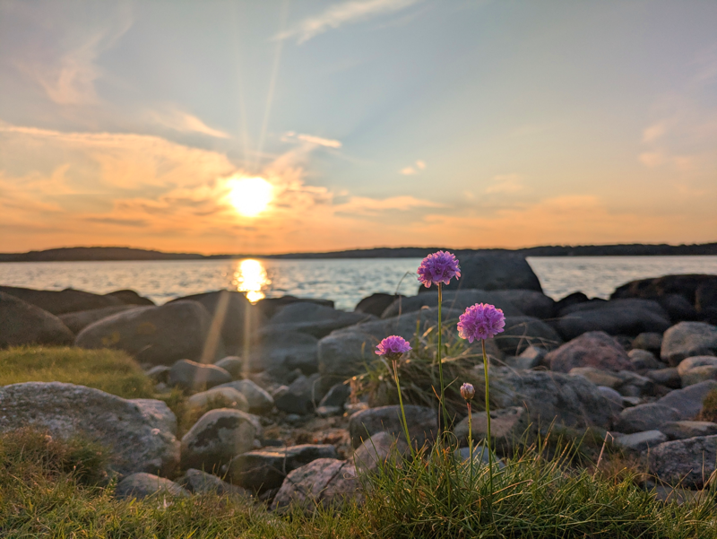 This was a beautiful sunset at the west coast of Sweden.