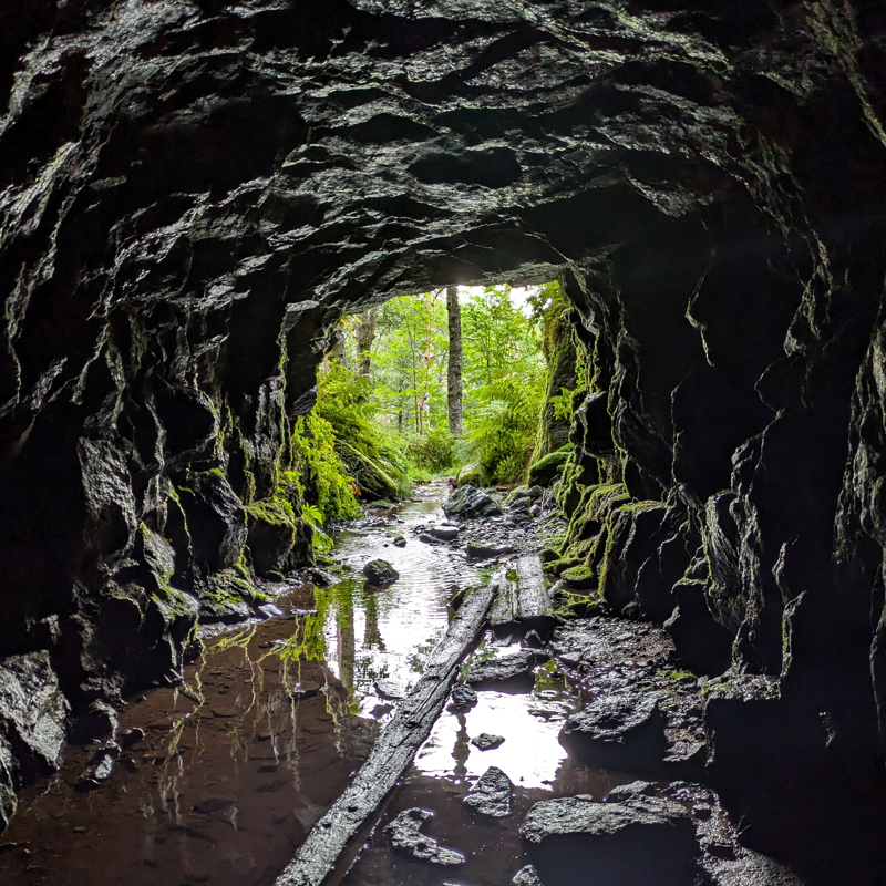 This photo shows a cave in norwegian forest.