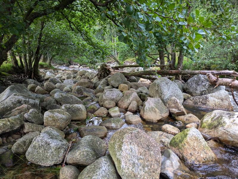 This photo shows a river with many stones.