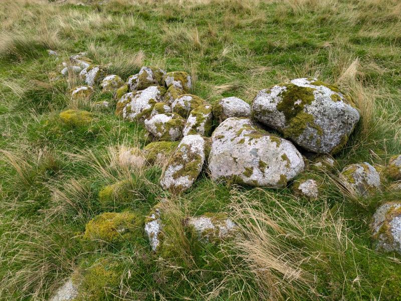 This photo shows stones on a meadow.